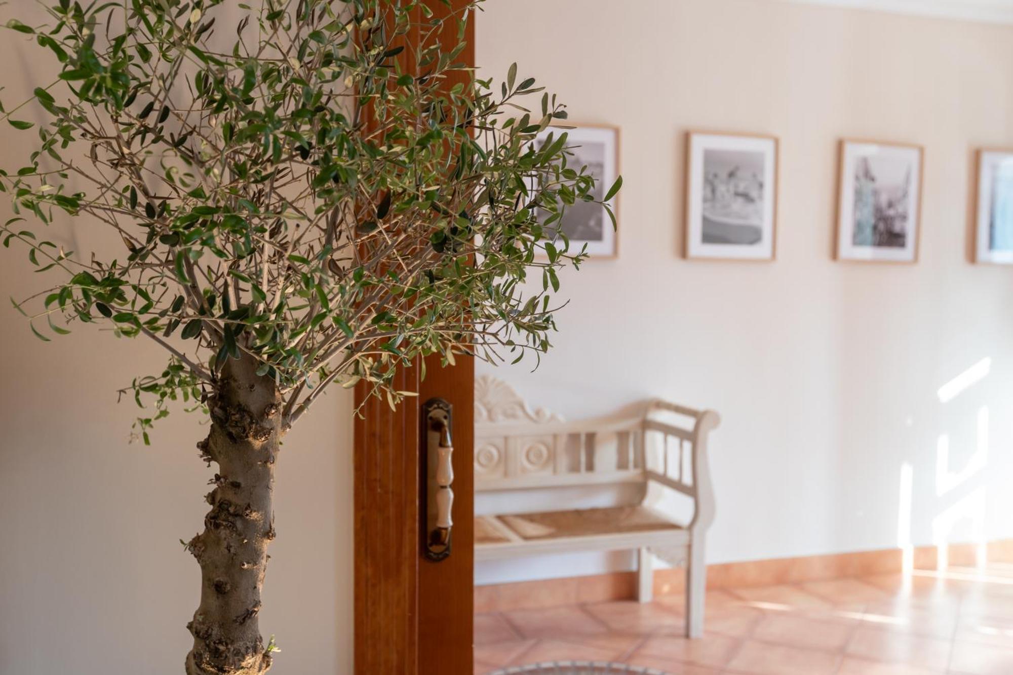 La Casita Del Mar Villa Torremolinos Eksteriør bilde